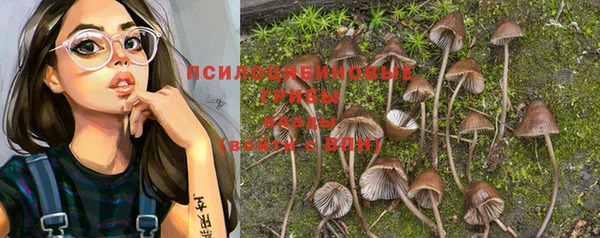 PSILOCYBIN Балахна