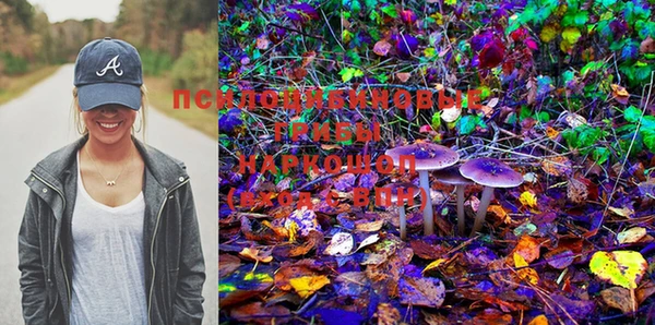 PSILOCYBIN Балахна